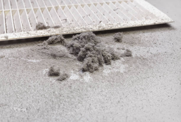 Best Emergency Air Duct Cleaning  in Wright City, MO