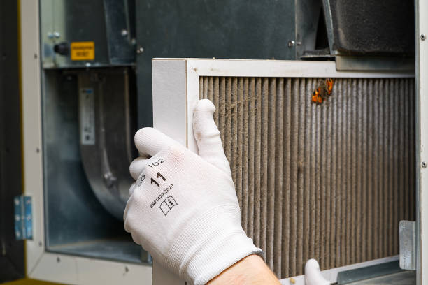 Best Affordable Air Duct Cleaning  in Wright City, MO